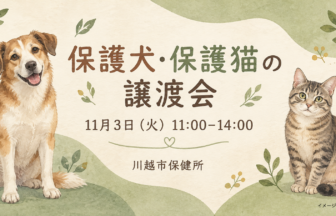 犬と猫を描いた、11月3日の川越市保健所・保護犬保護猫譲渡会のイメージイラスト（AI生成）